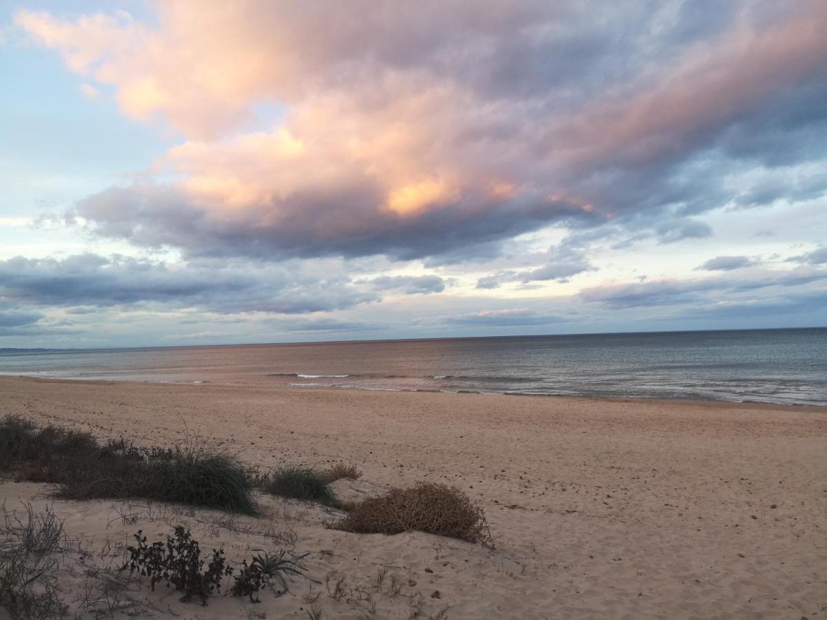 Apartamento Con Vistas Al Mar オリーバ エクステリア 写真