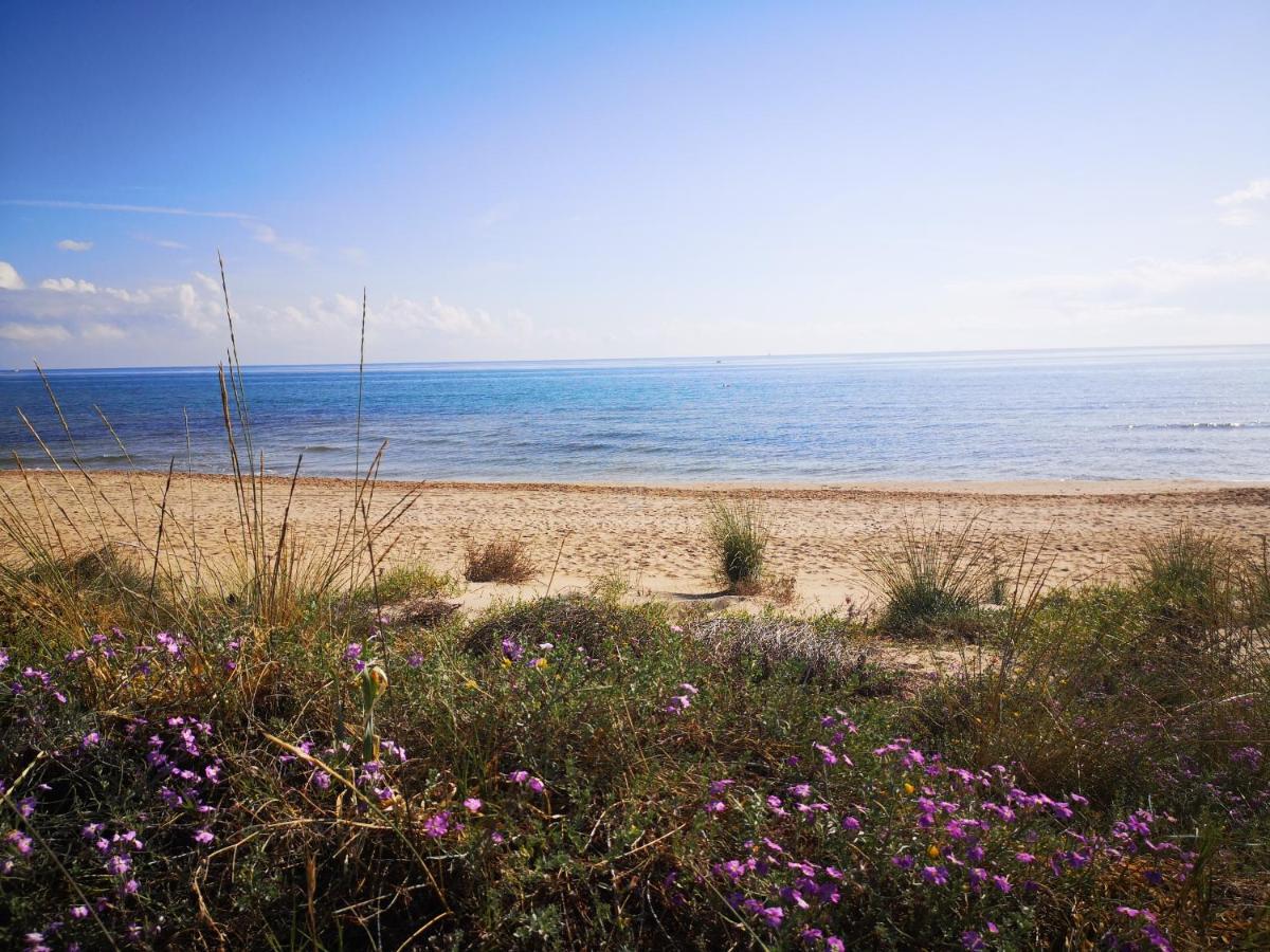 Apartamento Con Vistas Al Mar オリーバ エクステリア 写真